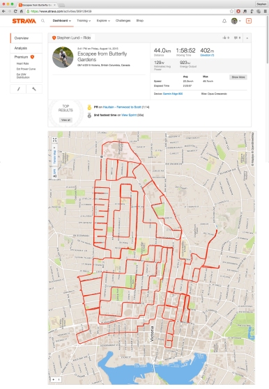 Butterfly by GPS artist Stephen Lund in Victoria, BC, Canada GPS Garmin Strava art cyclist cycling creativity animals insects butterfly wildlife Butterfly Gardens
