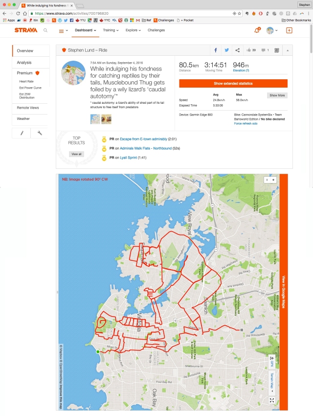 While indulging his fondness for catching reptiles by their tails, Musclebound Thug gets foiled by a wily lizard’s ‘caudal autotomy’ by GPS artist Stephen Lund in Victoria, BC, Canada GPS Garmin Strava art cyclist cycling creativity urban art street art lizard zoology wildlife